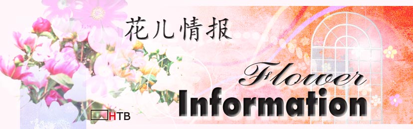 HTB Flower Information
