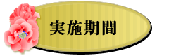 実施期間