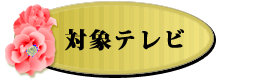 対象テレビ