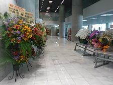 flower2.jpg