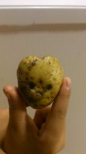 potato2013.jpg