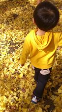 autumn2014-3.jpg