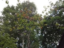 PHOTO 20120913.jpg