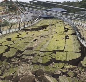 ハウス内の地面が陥没_R.JPG