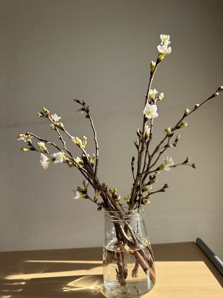 IMG-1164.jpg