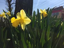 IMG_1243.jpg