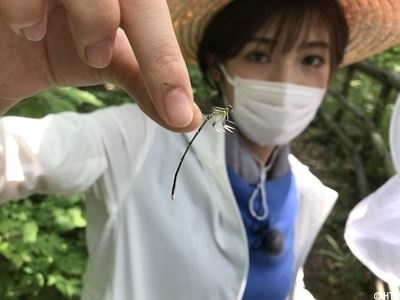 虫取り２_R.jpg