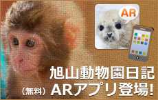 旭山動物園日記ARアプリ登場！（無料）