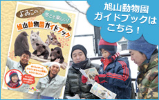 よゐこの冬こそ楽しい！旭山動物園ガイドブック