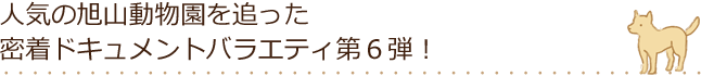 人気の旭山動物園を追った密着ドキュメントバラエティ第6弾！