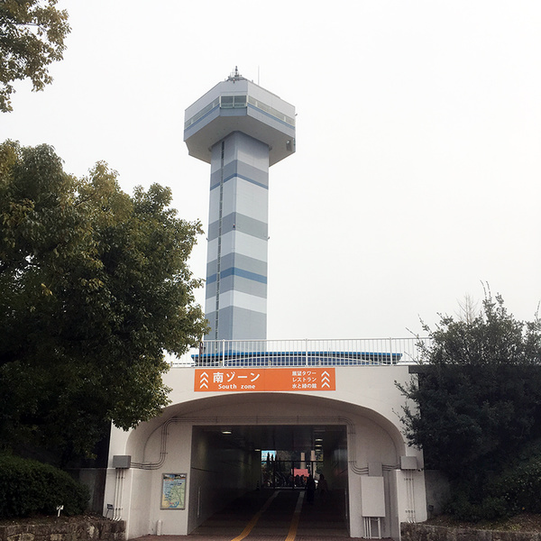 kaizu09 .jpg