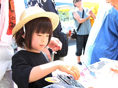 写真