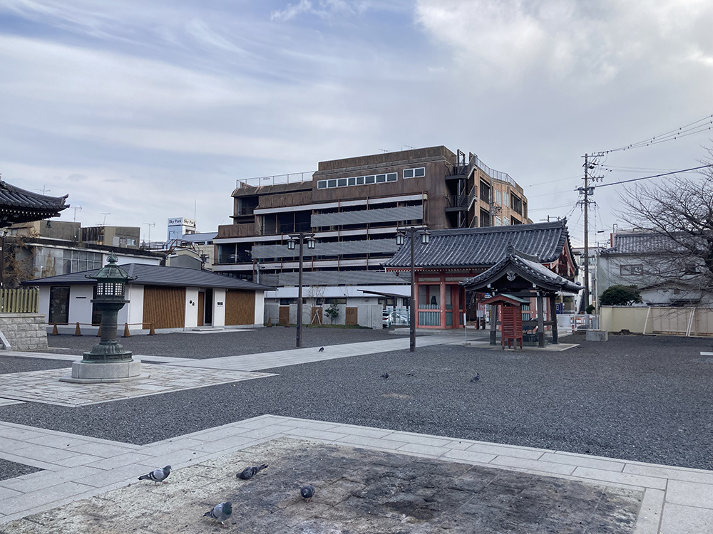 05.JPG