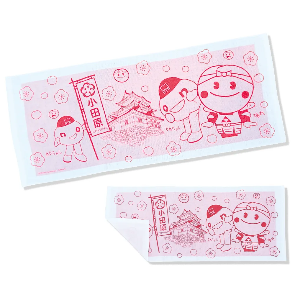 DC2025 梅丸とonちゃんタオル