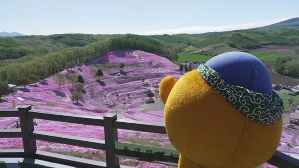 オフショット