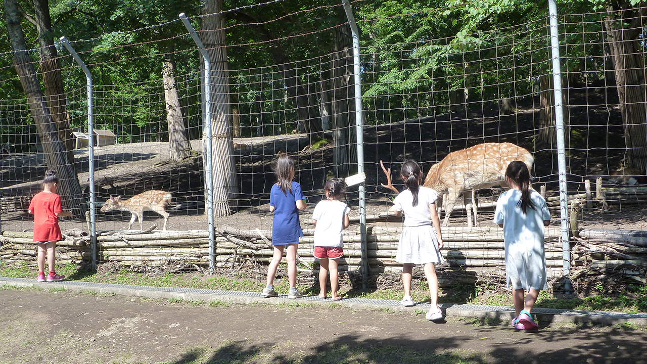 安平町鹿公園キャンプ場