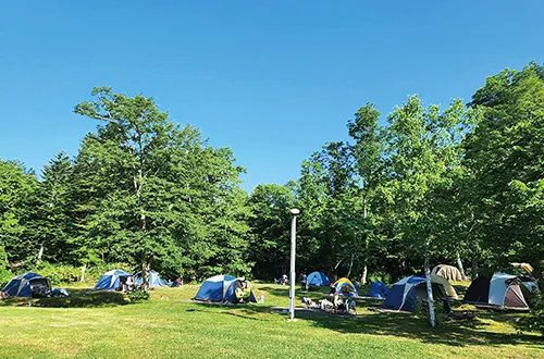 道民の森 神居尻地区 林間キャンプ場