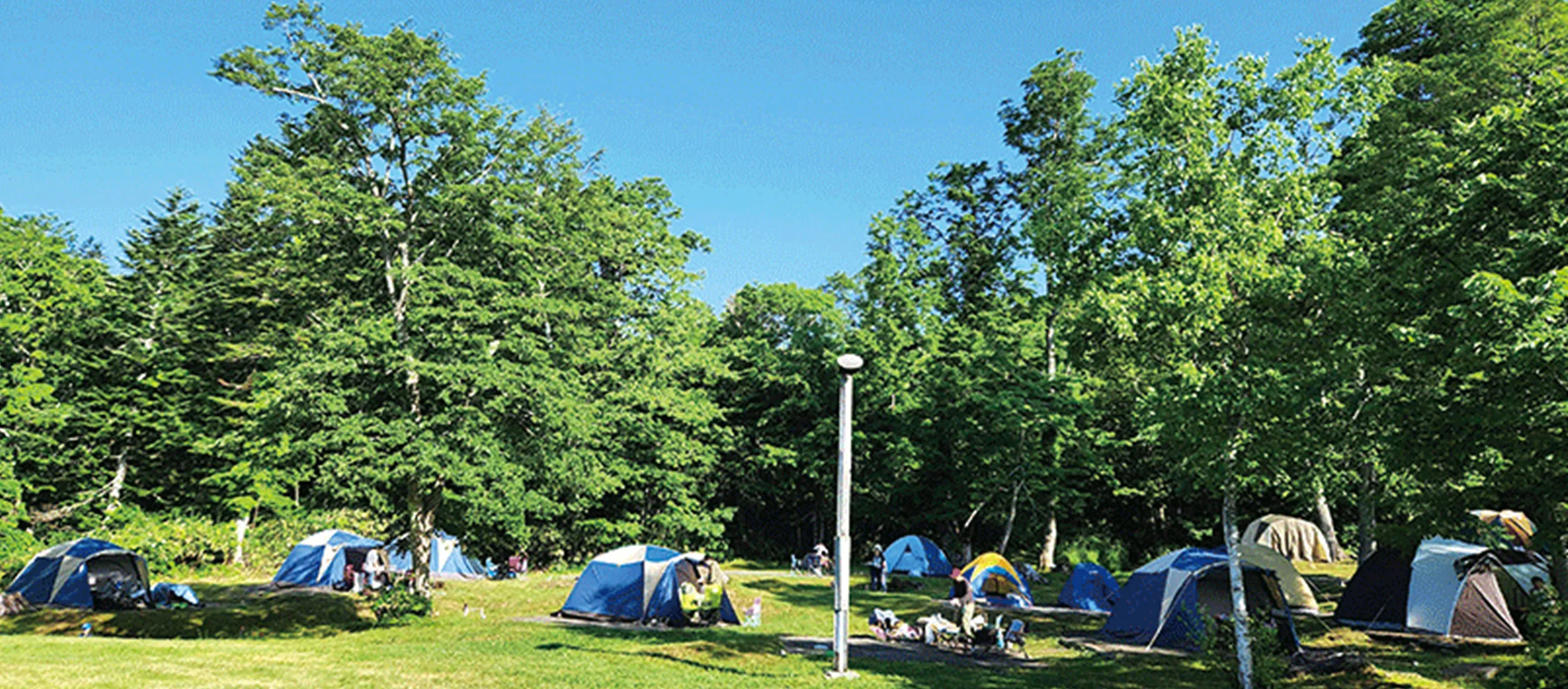 道民の森 神居尻地区 林間キャンプ場
