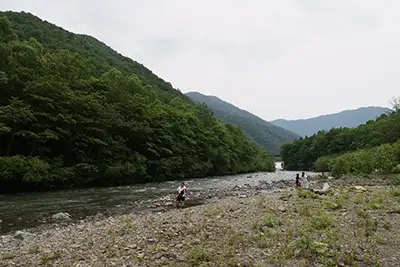 写真