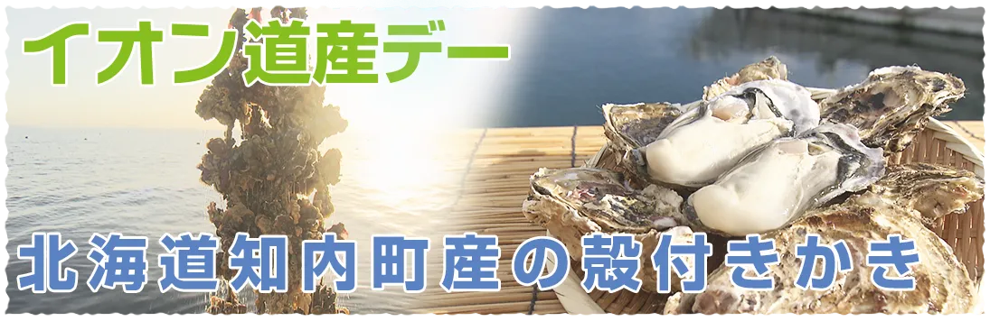 イオン道産デー