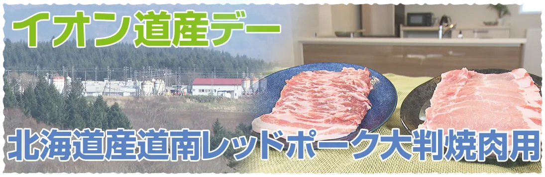 イオン道産デー