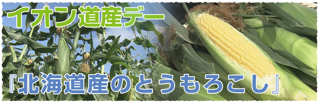 イオン道産デー