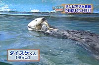 bR̃_CXP