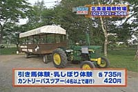 Jg[oX