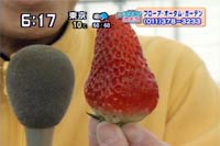 傫