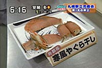 ₮犱
