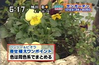 񂹐A