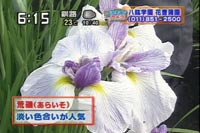 ri炢j