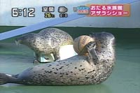 {[Lb`