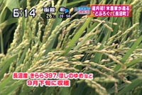 3l