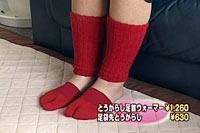 Ƃ炵
