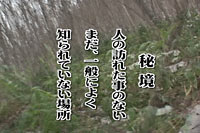 鋫