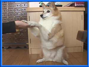 WjA