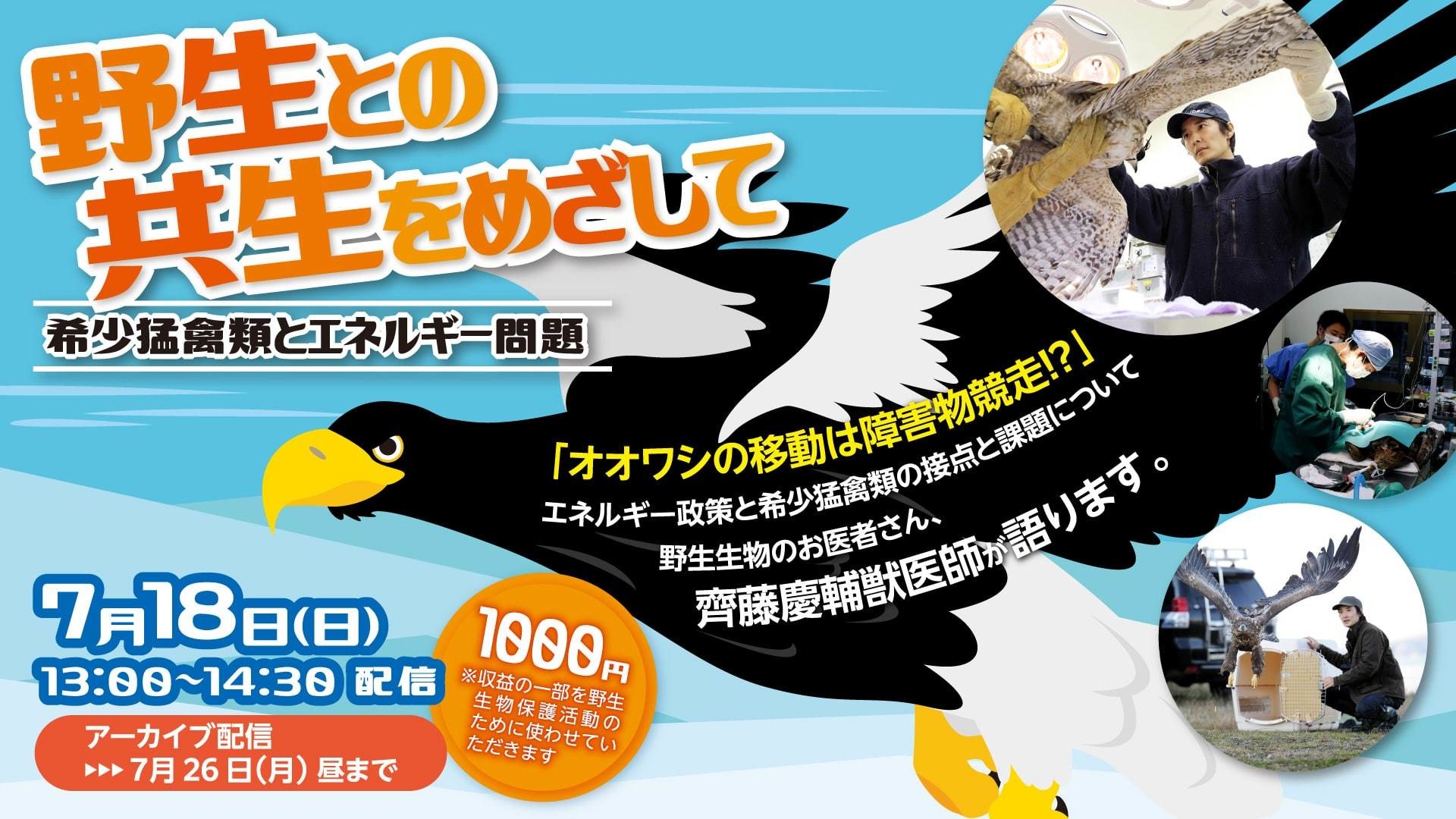 野生との共生をめざして~希少猛禽類とエネルギー問題~