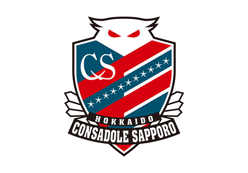 コンサドーレ　キックターゲット　参考画像