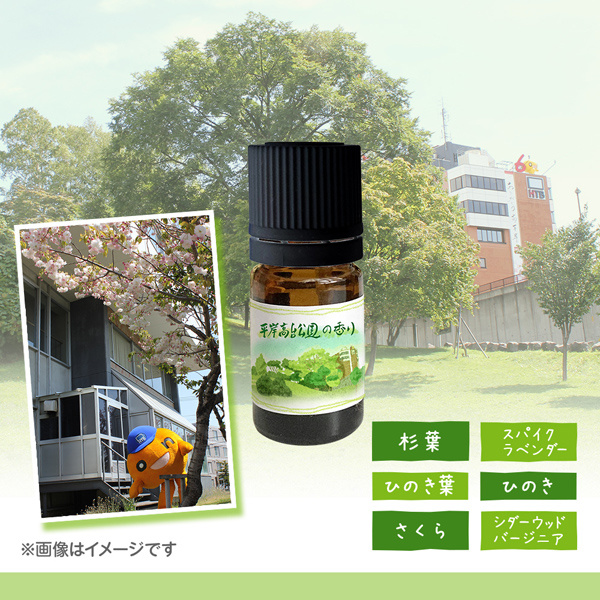 水曜どうでしょう』の