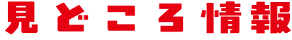 見どころ情報