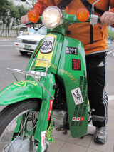 cub-2.jpg