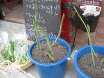 0608-02.jpg