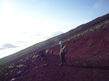 08010601-01.jpg