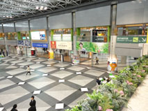 1219-02.jpg