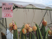 723-00003.jpg