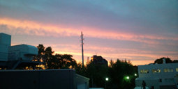 0808-01.jpg