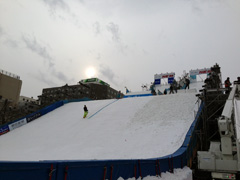 0203-01.jpg