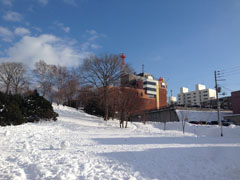 20150105.jpg