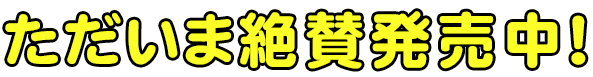 ただいま絶賛予約受付中！ 発売 2019年2月22日（金）